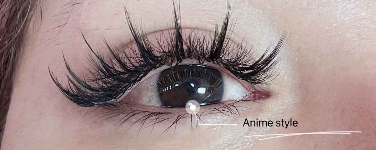 Anime Lash Everything You Need To Know